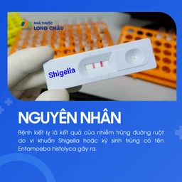 Kiết lỵ 3