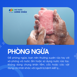 Kiết lỵ 7