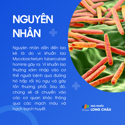 Lao kê 3