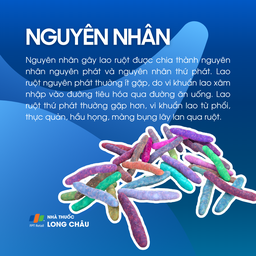 Lao ruột 3