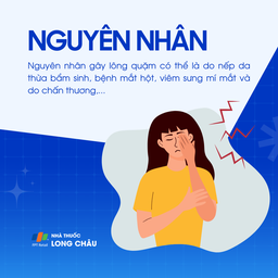 Lông quặm 3