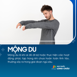 Mộng du 1
