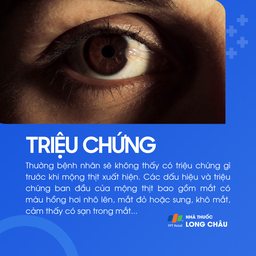 Mộng thịt 2