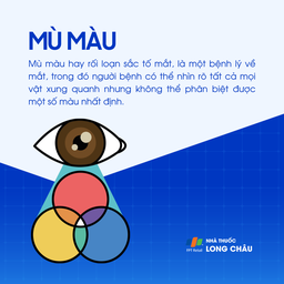Mù màu 1