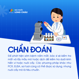 Nấm mắt 5