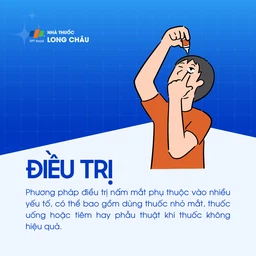 Nấm mắt 6