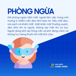 Nấm mắt 7
