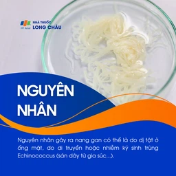 Nang gan 3