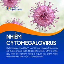 Nhiễm Cytomegalovirus 1