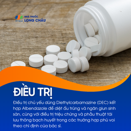 Nhiễm giun chỉ 6