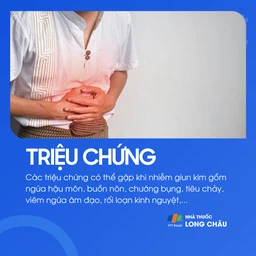 Nhiễm giun kim 2