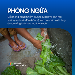 Nhiễm giun tóc 7
