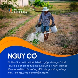 Nhiễm Nocardia 4