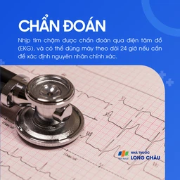Nhịp tim chậm 5