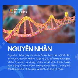 Phong tê thấp 4