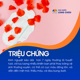 Rong kinh 2