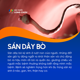 Sán dây bò 1