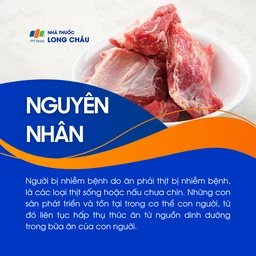 Sán dây bò 3
