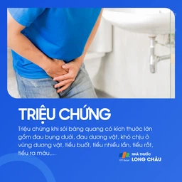 Sỏi bàng quang 2
