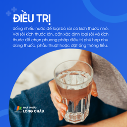 Sỏi bàng quang 6