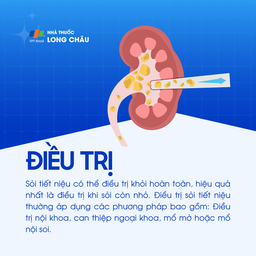 Sỏi niệu 6