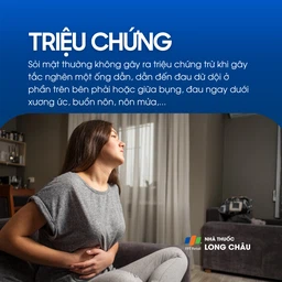 Sỏi túi mật 2