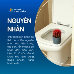 Són phân 3