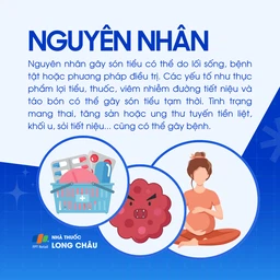 Són tiểu 3