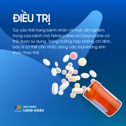 Sốt hồi quy 6