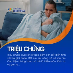 Sốt rét 2