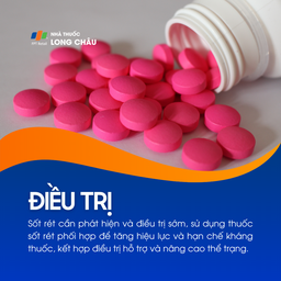 Sốt rét 6