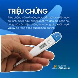 Sốt vàng 2