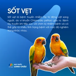 Sốt vẹt 1