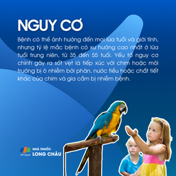 Sốt vẹt 4
