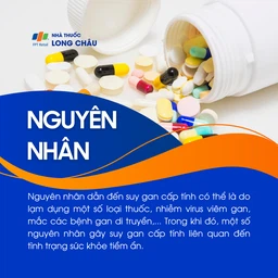 Suy gan 3