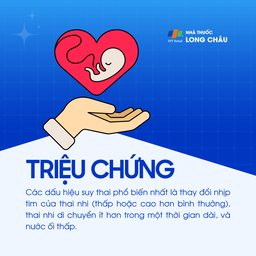 Suy thai 2