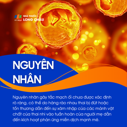 Tắc mạch ối 3