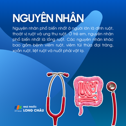 Tắc ruột cao 3
