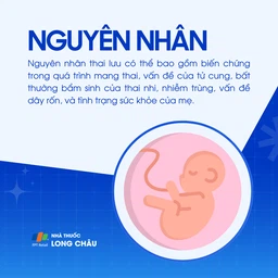 Thai chết lưu 3
