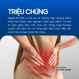 Thận ứ mủ 2