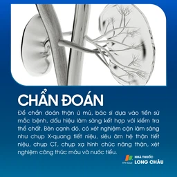 Thận ứ mủ 5