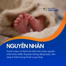 Thoát vị bẹn 3