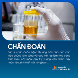 Thương hàn 5