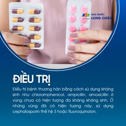 Thương hàn 6