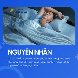 Tiểu đêm 3