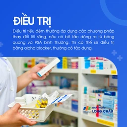 Tiểu đêm 6