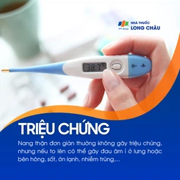 U nang thận 2