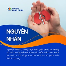 U nang thận 3