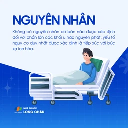 U sao bào 3