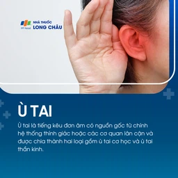Ù tai 1